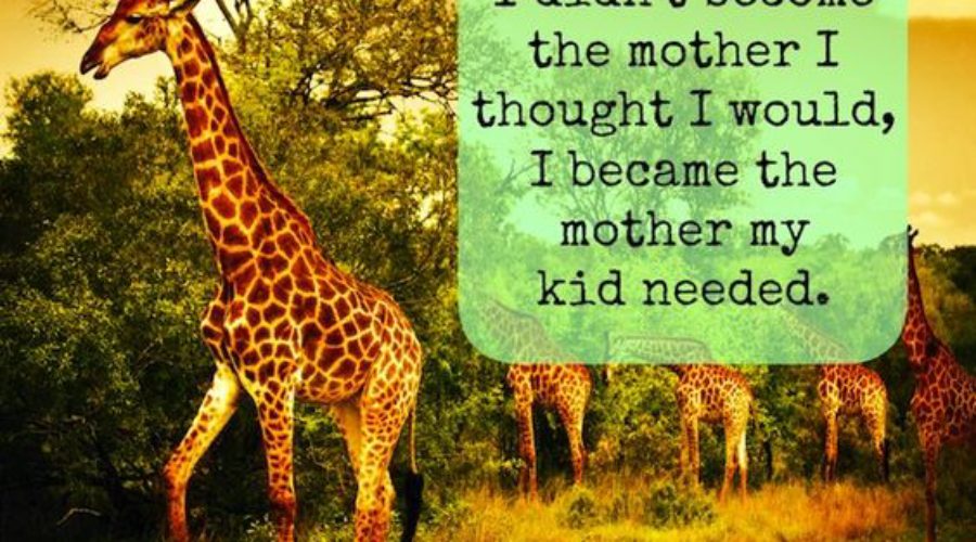 You Might Be A Special Needs Mom If…